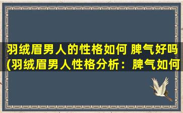 羽绒眉男人的性格如何 脾气好吗(羽绒眉男人性格分析：脾气如何，个性特点大剖析！)